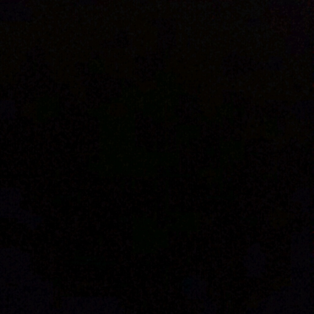 Meet your Posher, Pamela